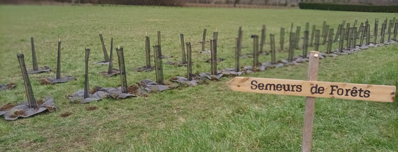SEMEURS DE FORETS